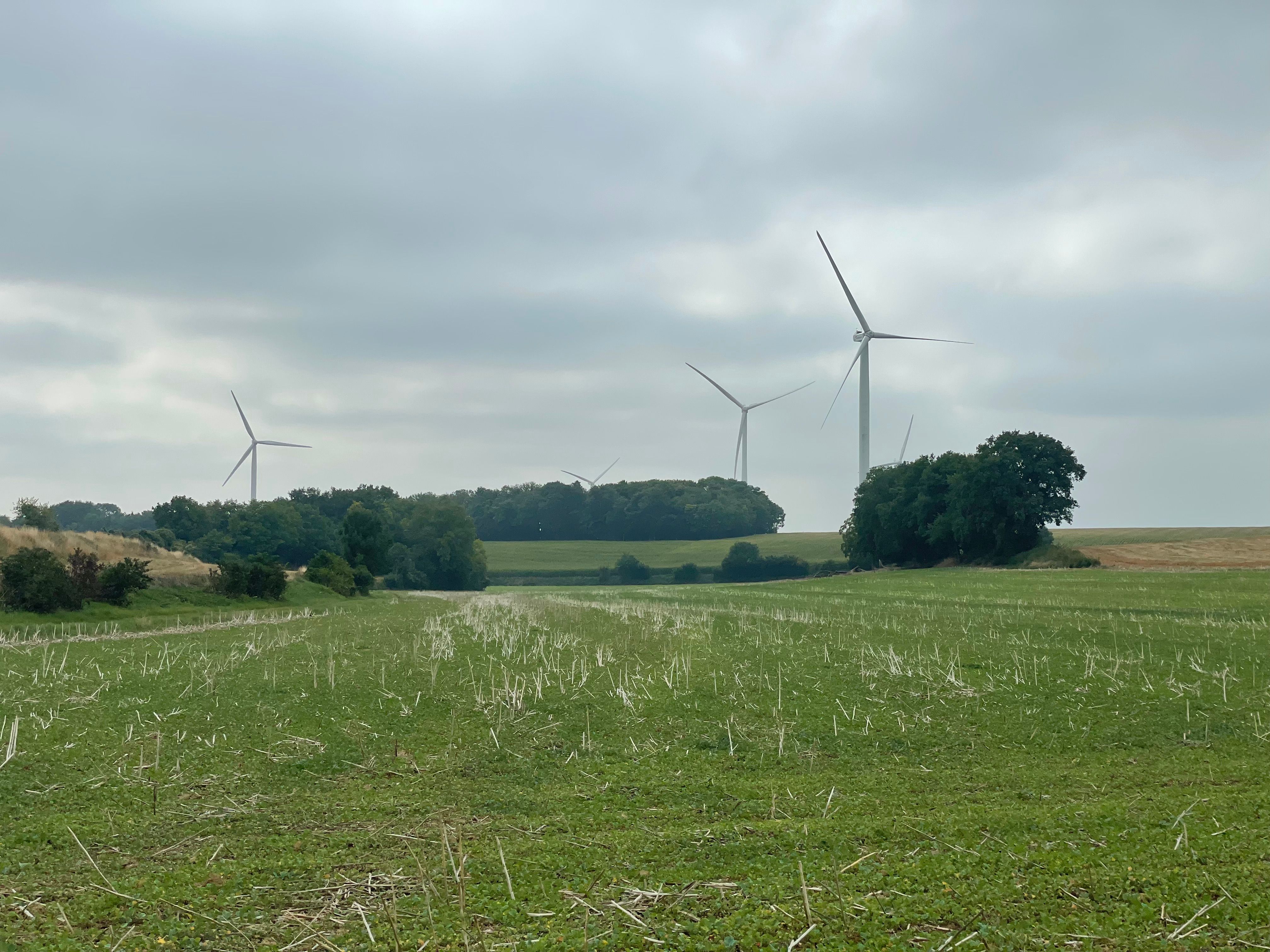 Paysage de plaine légèrement valonnée. De petits bois et 3 grandes éloliennes sont visibles dans le fond.