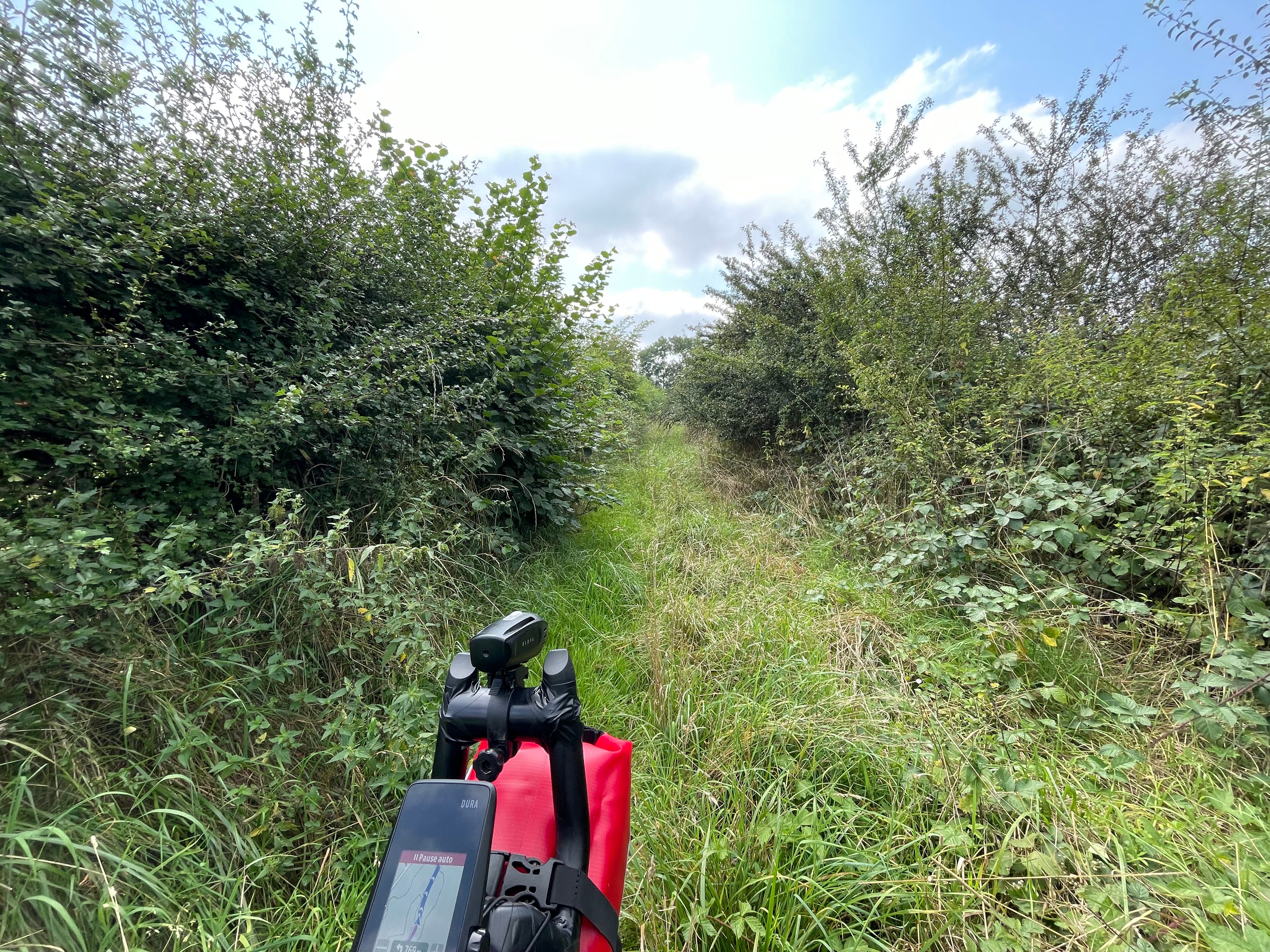 Un chemin complètement envahi d'herbes folles, ronces et orties. On distingue le haut du poste de pilotage du vélo