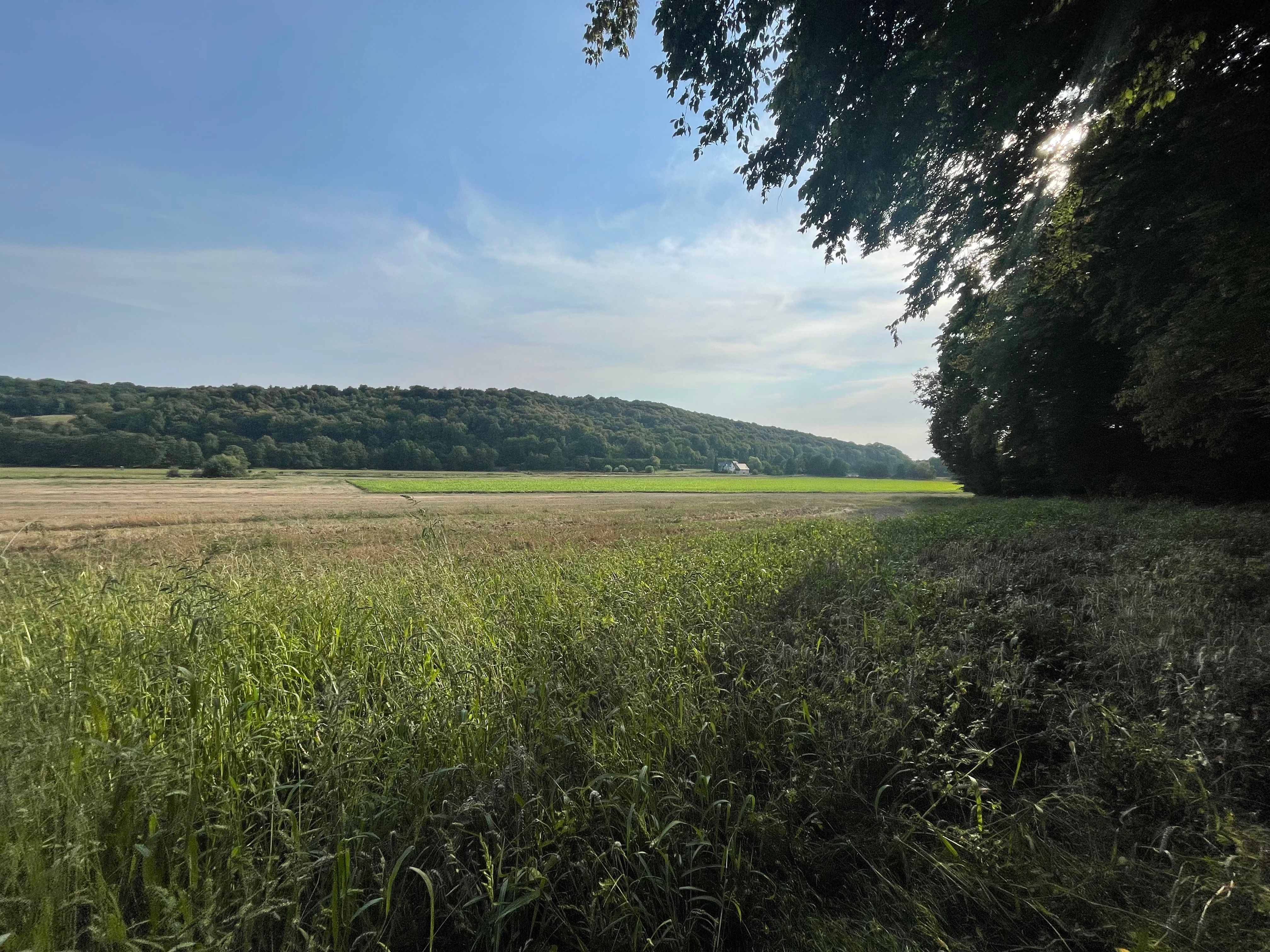 Paysage de la vallée de la Lieur en fin d'après midi. Le soleil est masqué par une haute haie. On distingue une colline boisée en arrière-plan.