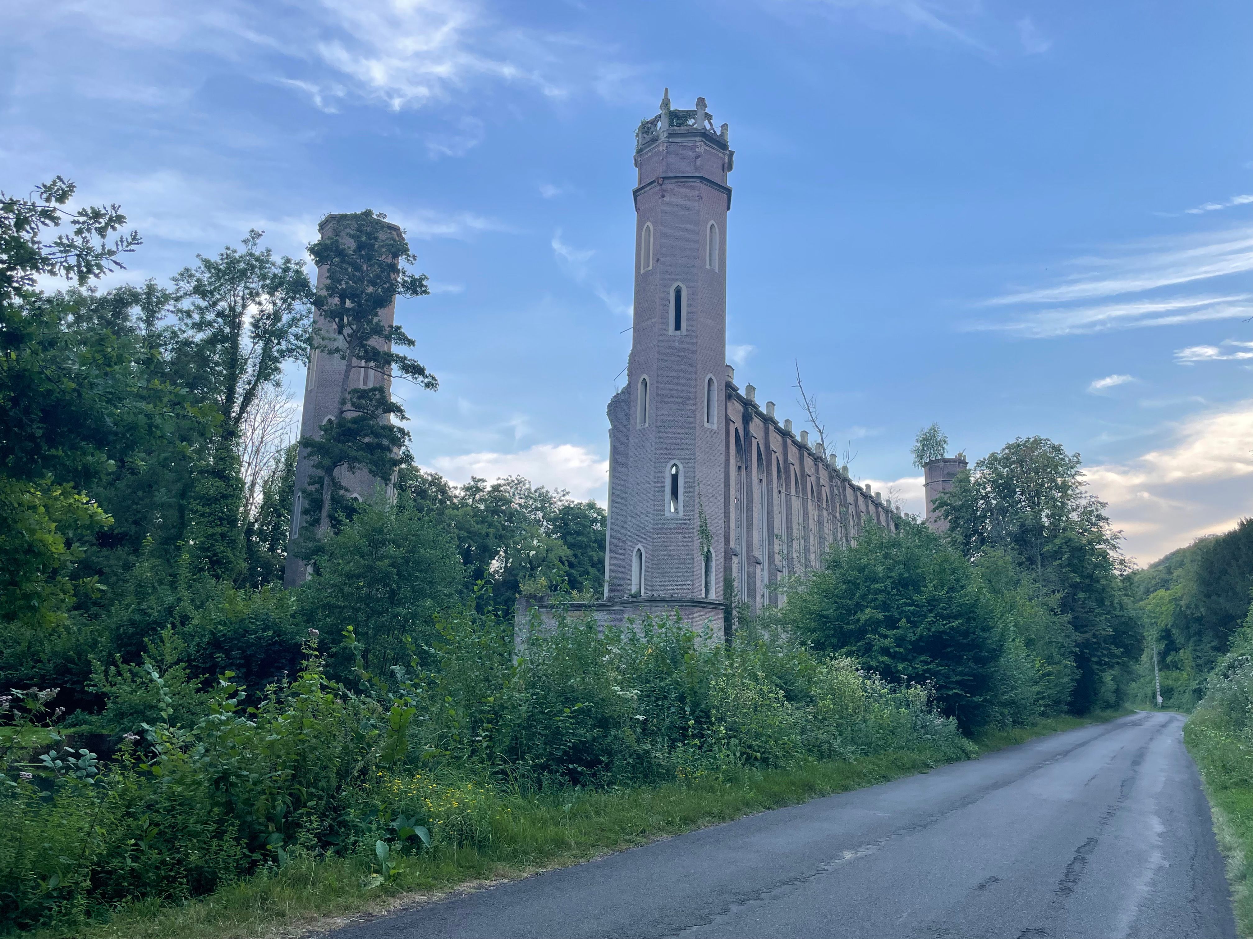 Les ruines d'un ancien bâtiment de style gothique anglais. 2 fines tours émergent de la végétation