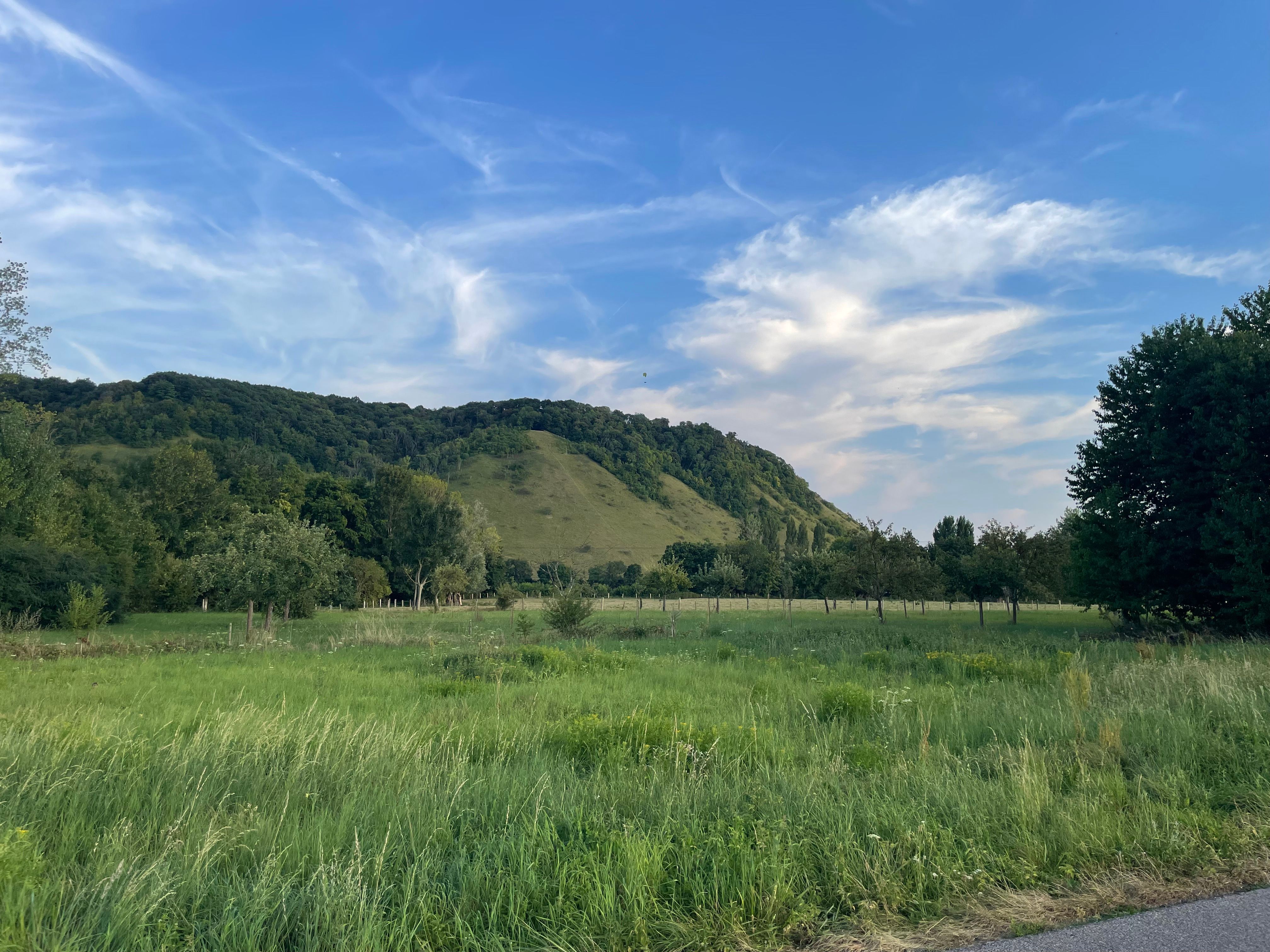 Une colline escarpée aux abords de la vallée de la Seine. Le sommet de la colline est boisé, et l'on distingue un parapente volant au dessus de celle-ci. Au premier plan de petites prairies vertes entrecoupées de haies.