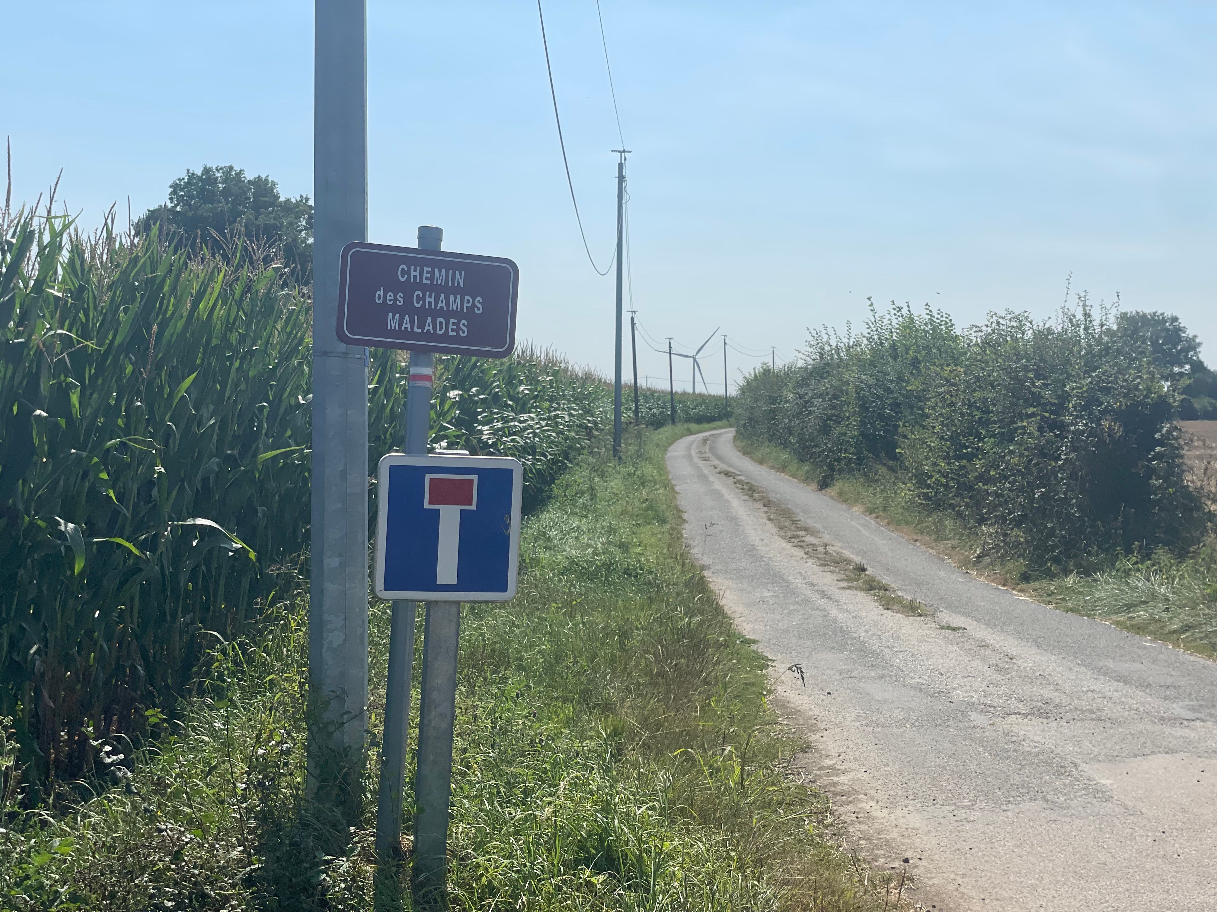 Un début de route rurale (goudronnée mais avec de l'herbe au centre). 2 panneaux: un panneau d'impasse et un panneau nommant le chemin: 'chemin des champs malades'. La lumière est blanchâtre et on distingue une éolienne au fond.