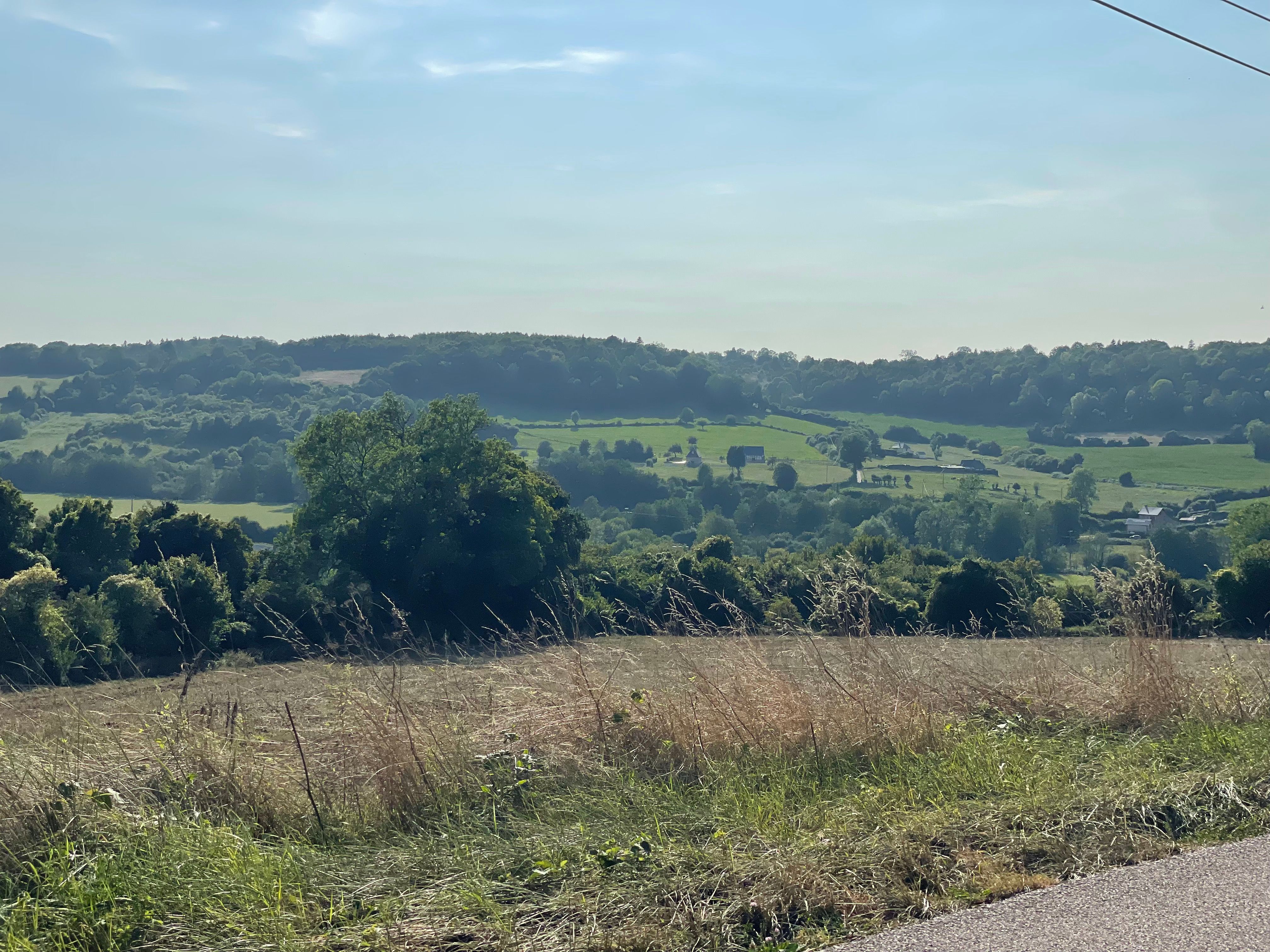 Beau panorama normand typique de collines boisées et de bocage. Hautes herbes folles au premier plan