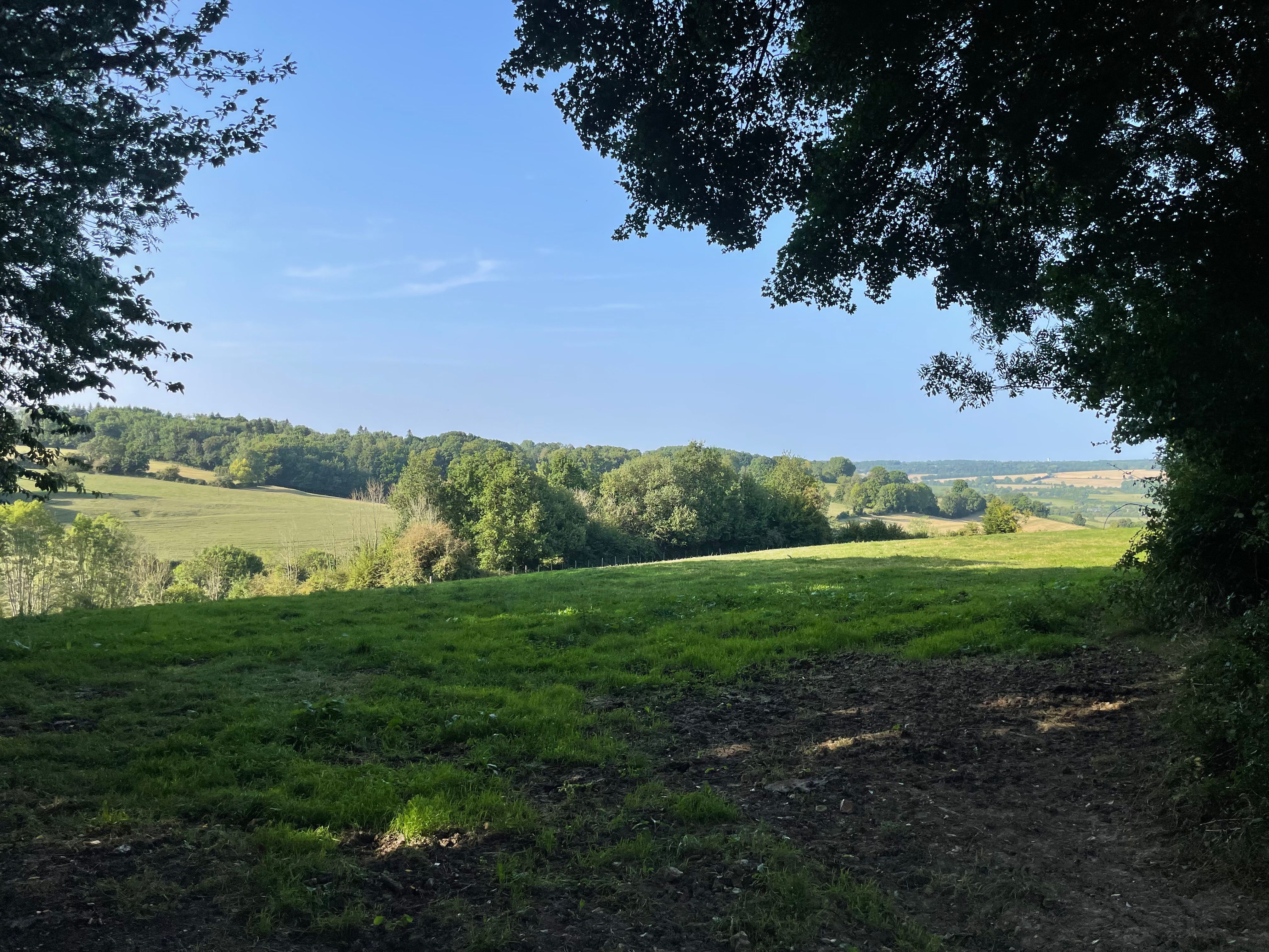 Vue sur l'ouverture d'un pature bocagère. Au premier plan, l'ombre des arbres environnants. Ensuite le moutonnement du bocage baigné dans la lumière de fin d'après-midi