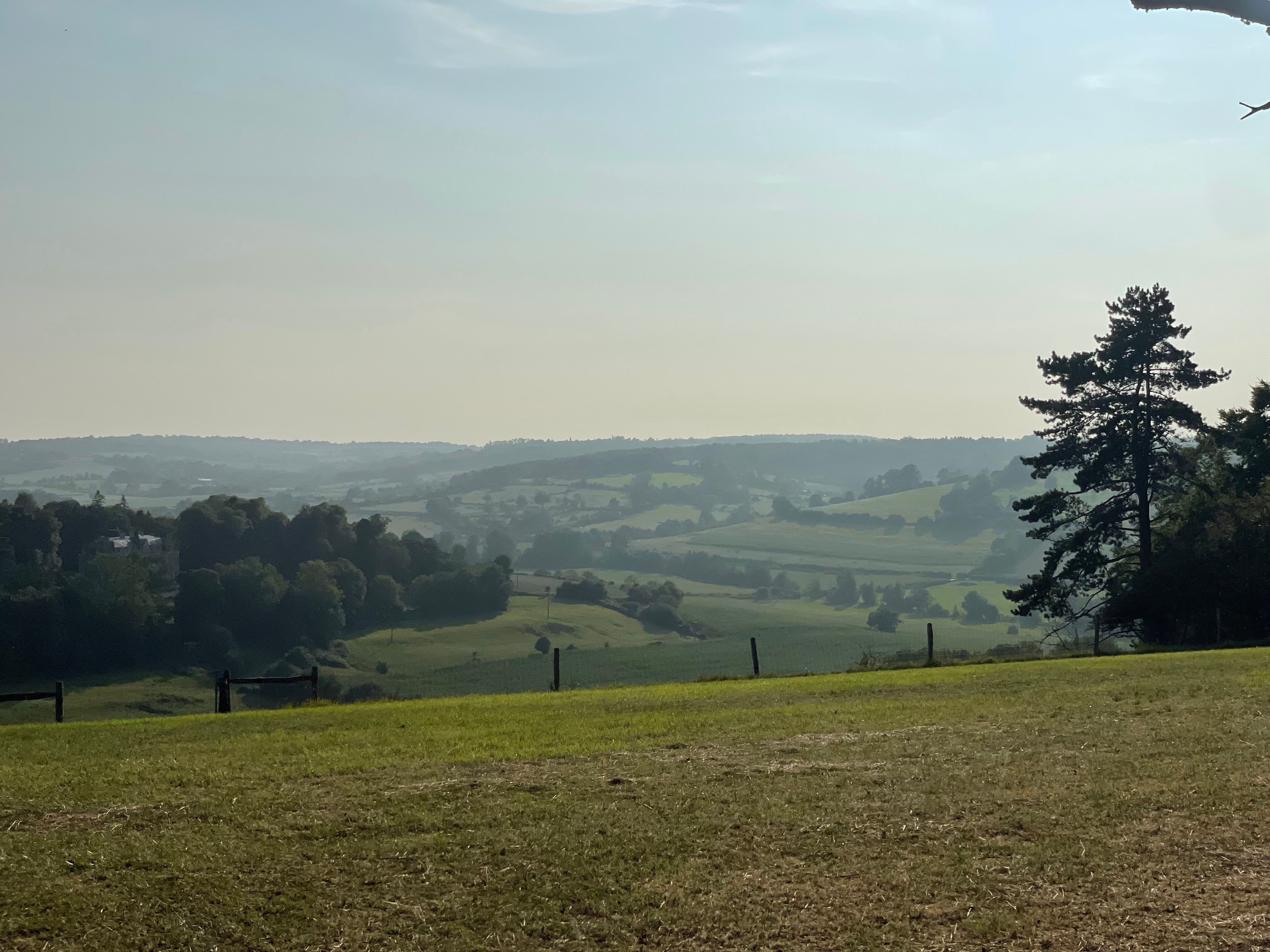 Point de vue dégagé sur le moutonnement des collines du bocage. Au premier plan, une prairie rase qui s'arrête à une cloture. Sur la droite la silhouette d'un résineux. à l'arrière plan, les haies et petits bois dessinent des motifs dans le paysage. Le ciel est dégagé et a un dégradé indiquant la fin de l'après-midi