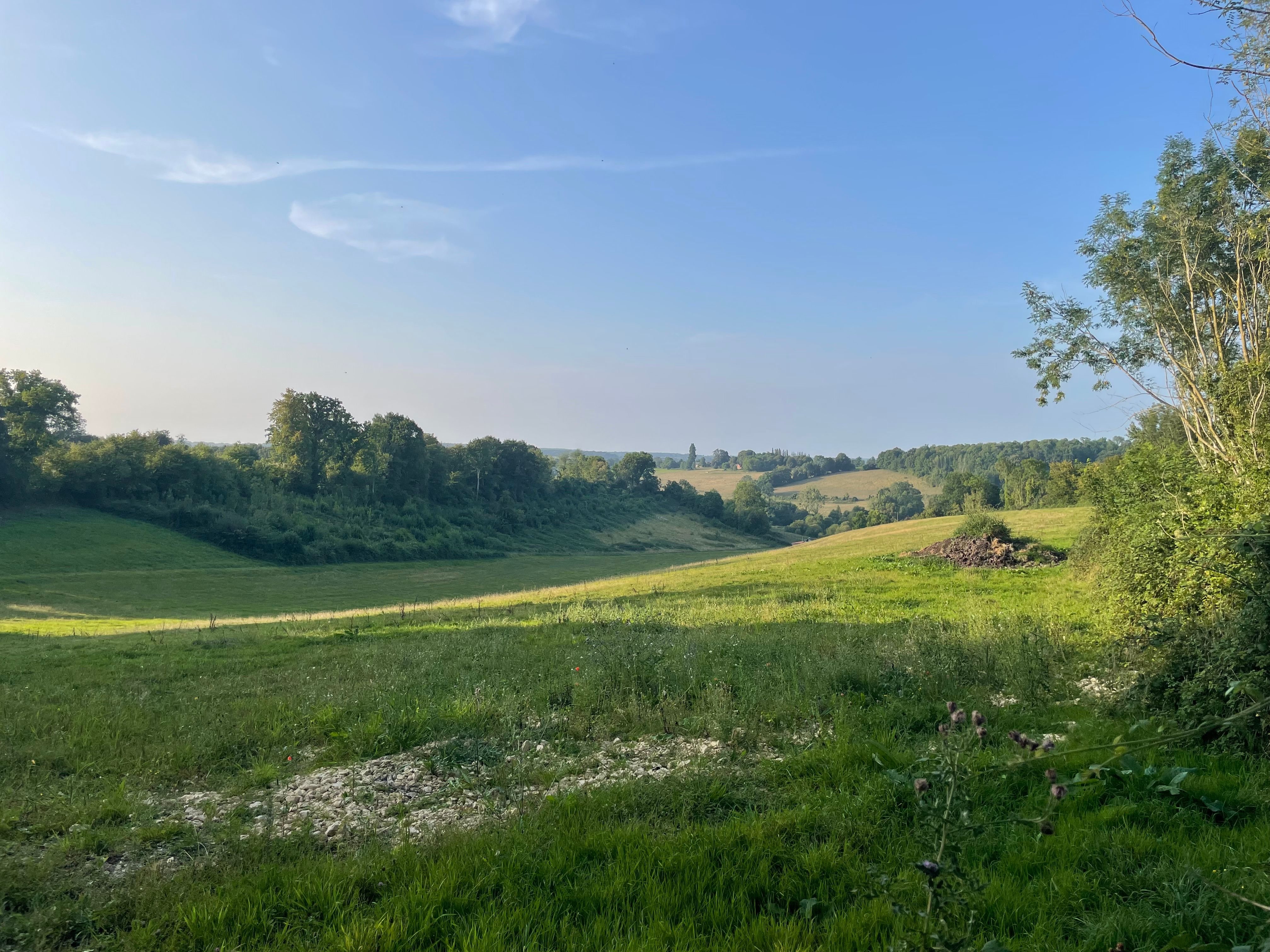 Vue sur une pature vallonnée, éclairées par le soleil déclinant