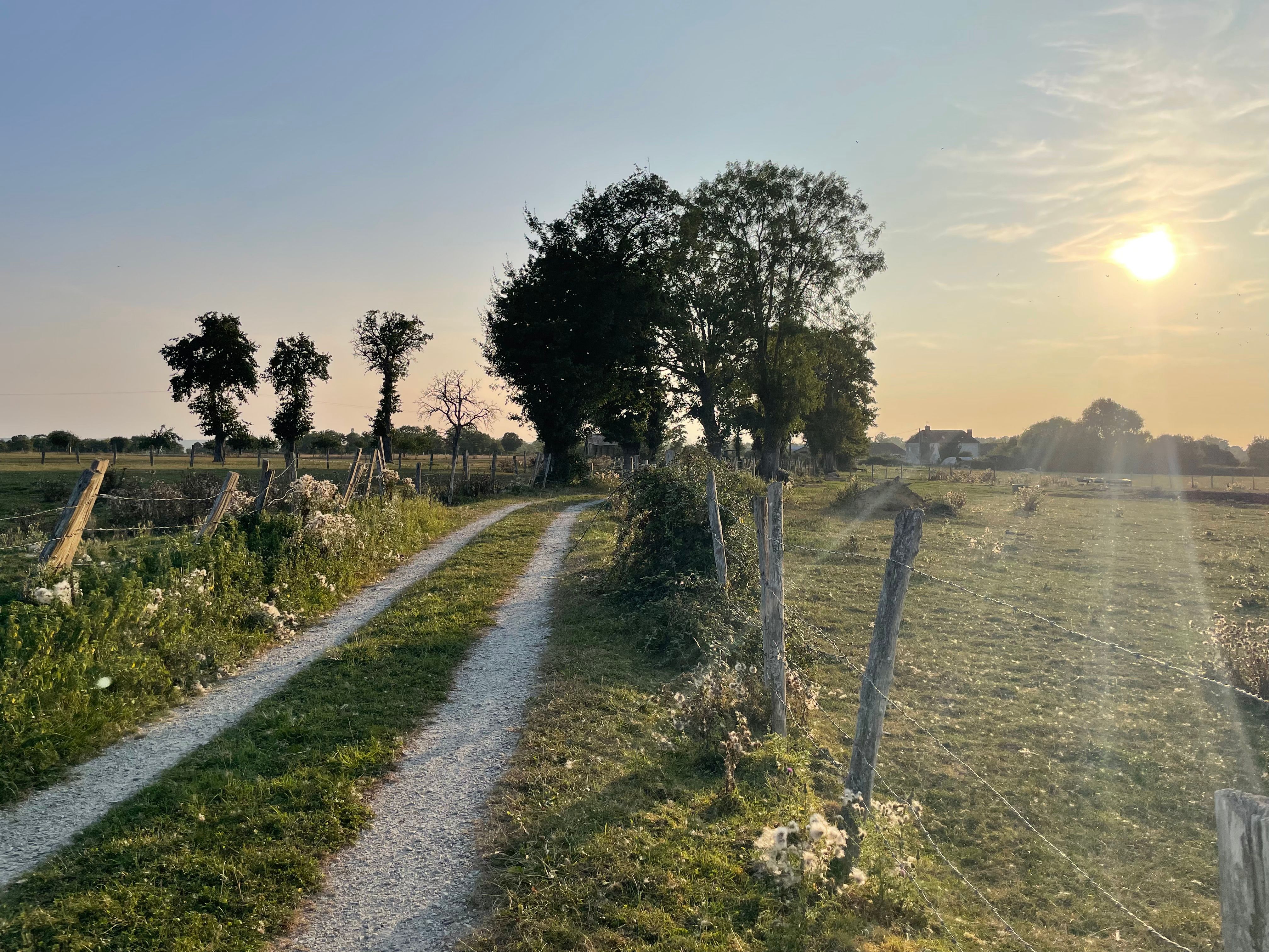 Chemin carossable de craie blanche, bordée de clotures et prés. Au second plan, un petit bosquet d'arbres. On est presque au crépuscule et le soleil forme des motifs de diffraction dans l'objectif