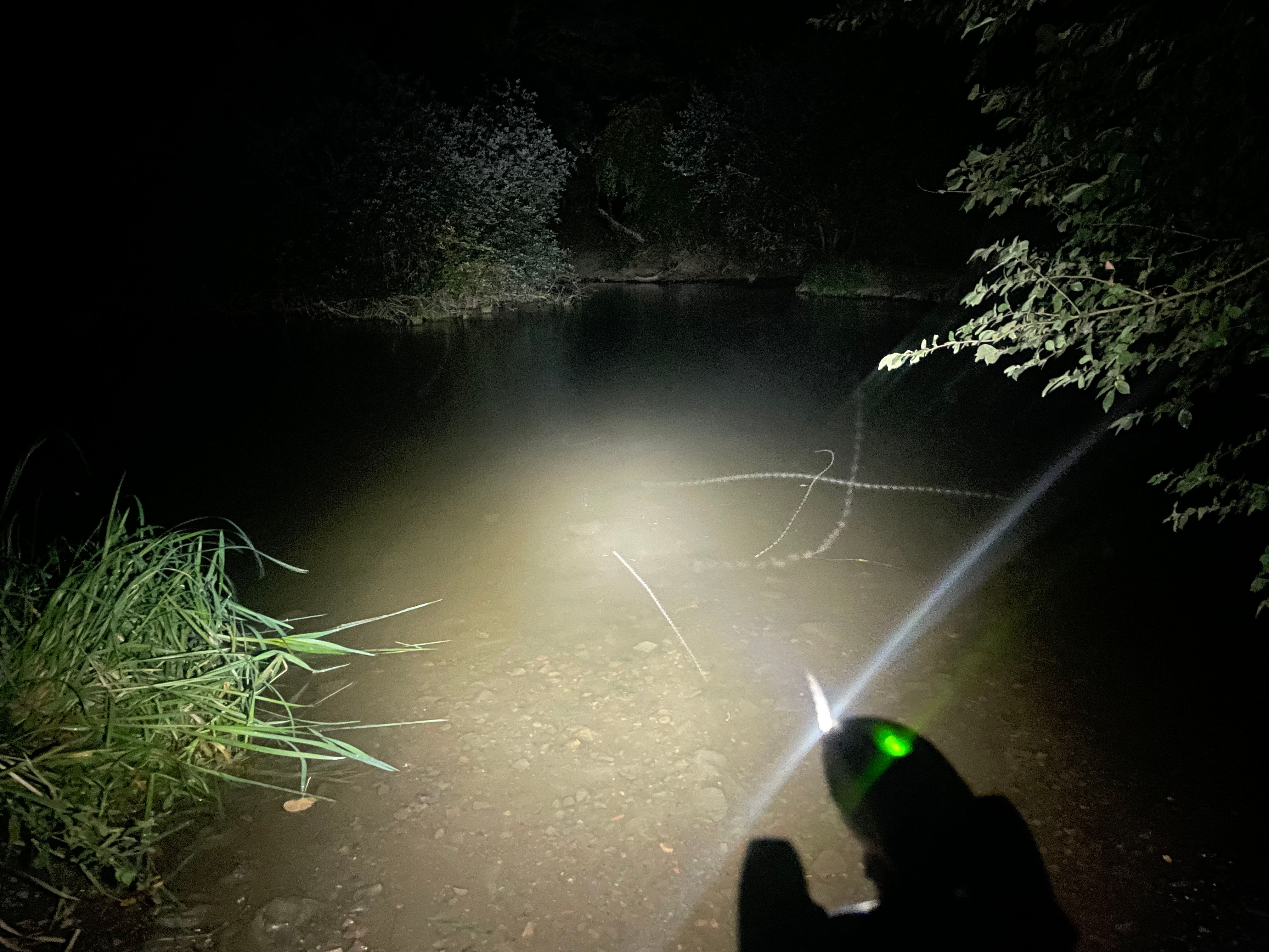 Photo prise de nuit à la lueur de mon phare dont on voit la silhouette. L'eau de l'Orne au premier plan et une touffe d'herbes aquatiques à gauche. On distingue les tracés de vol des insectes, rendus visibles par la pose longue de la photo